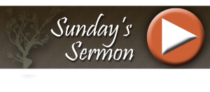 Sundays sermon